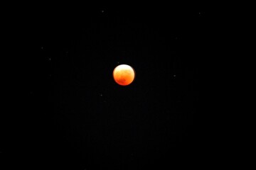 442年ぶりの天体ショー
見れましたか？