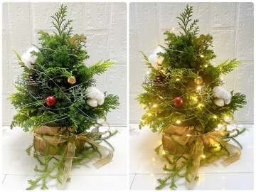 クリスマスツリー
配置に悩みますね